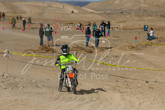 IMG_7471-838y
