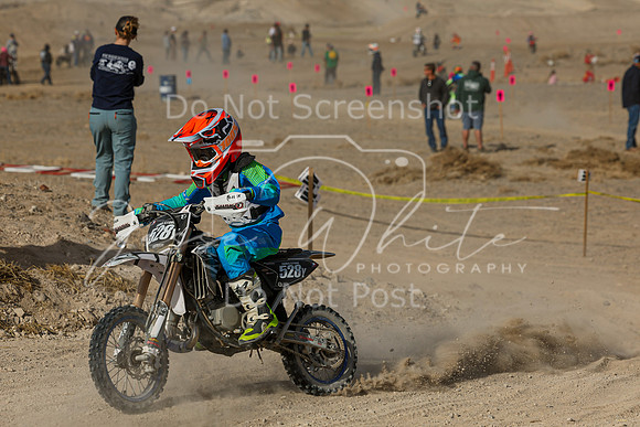 IMG_7483-528y