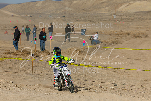 IMG_7487-199y