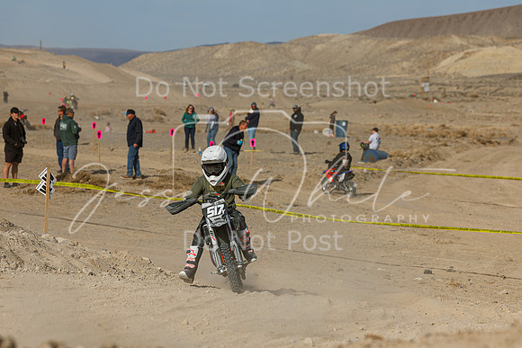 IMG_7490-517y