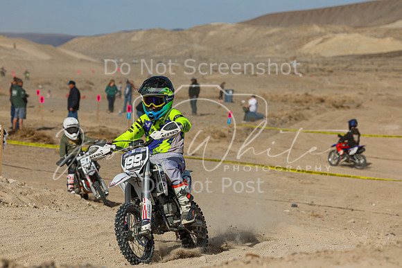 IMG_7489-199y