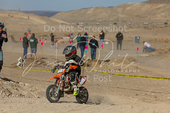 IMG_7485-33e