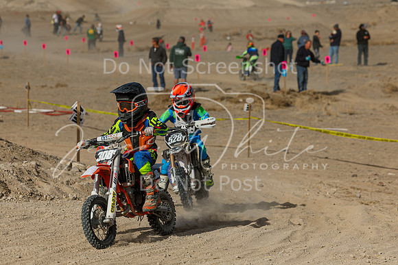 IMG_7481-308e