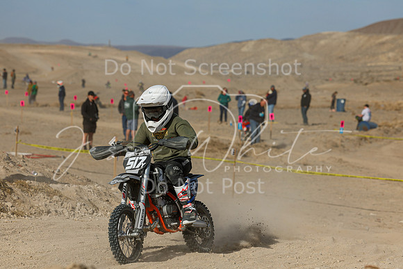 IMG_7492-517y