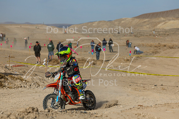 IMG_7498-200e