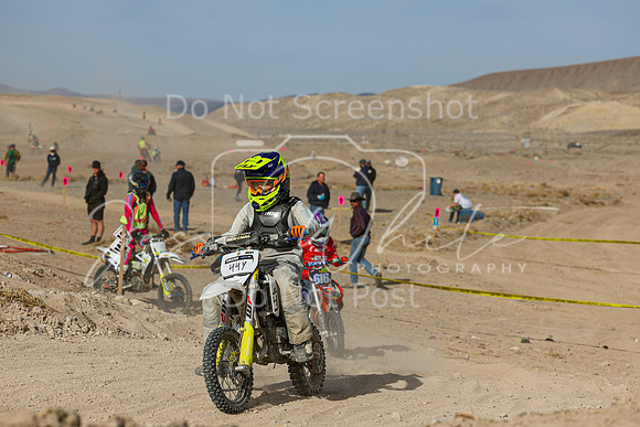 IMG_7504-44y