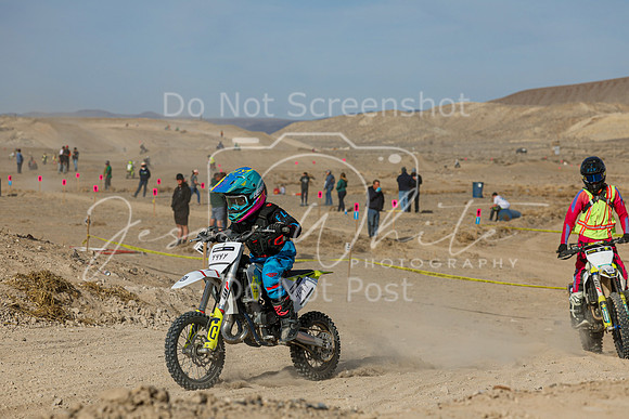 IMG_7509-444y