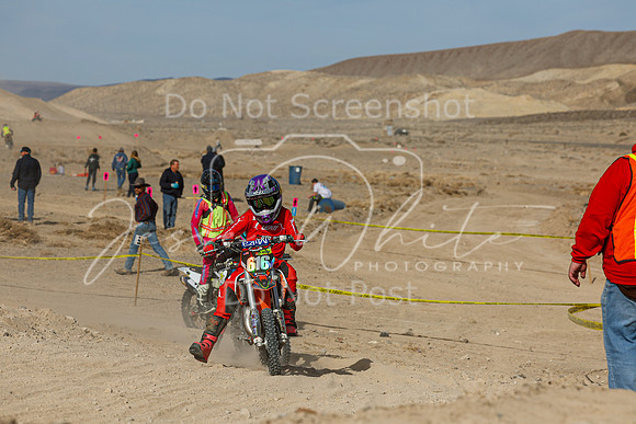 IMG_7506-616y