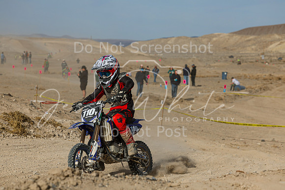 IMG_7520-110y