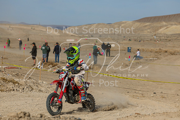 IMG_7515-778e