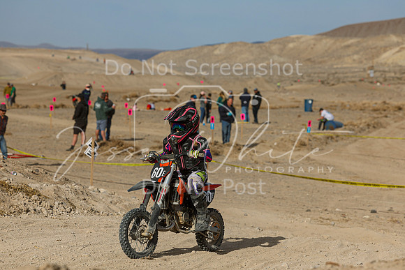IMG_7525-60e