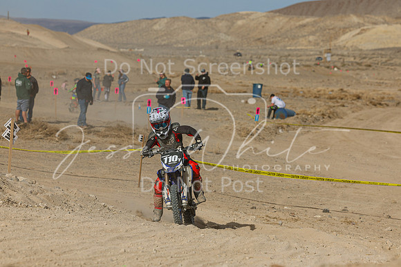 IMG_7518-110y