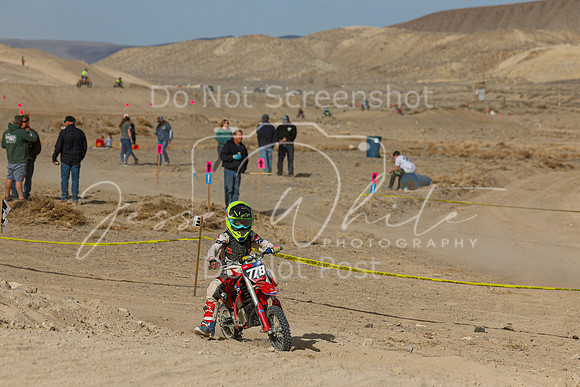 IMG_7513-778e