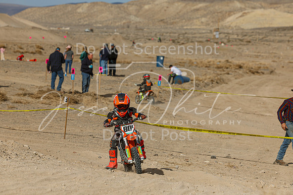 IMG_7527-80e