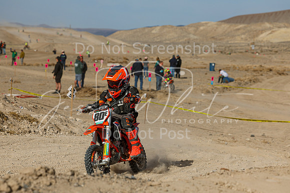 IMG_7529-80e