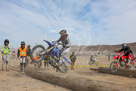 IMG_7559-73t