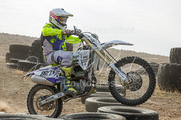 IMG_8568-827x