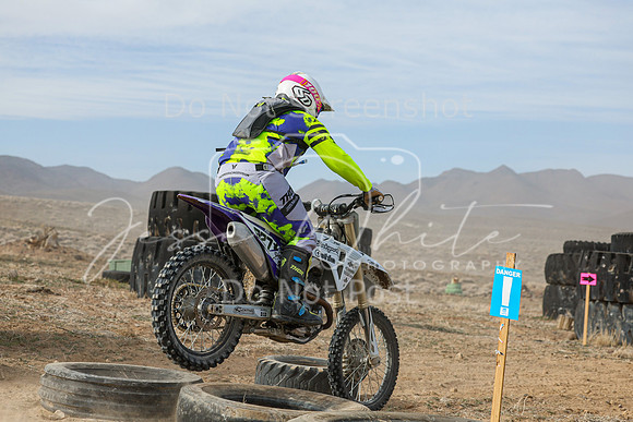IMG_8571-827x