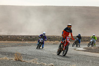 IMG_7894-64n