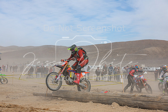 IMG_9800-511t