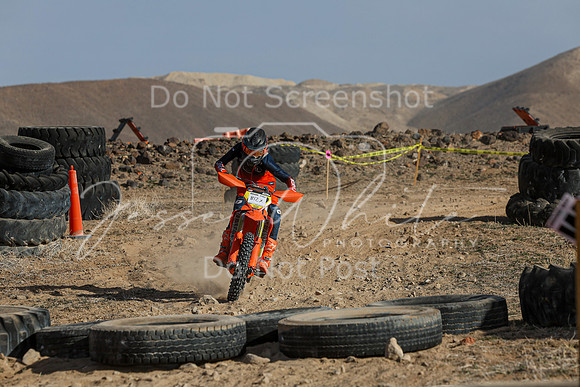 IMG_0938-812a