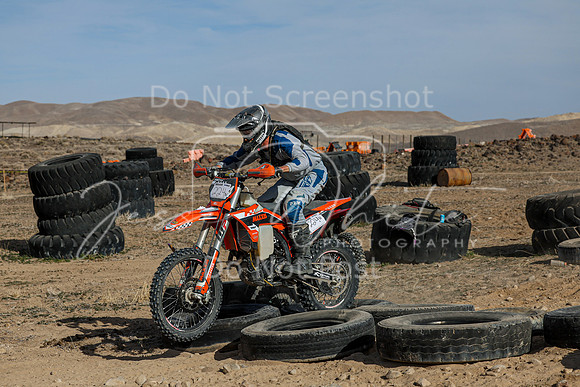 IMG_0968-224n
