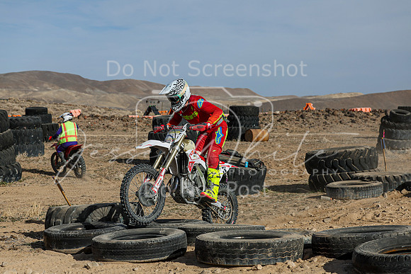 IMG_1009-313t