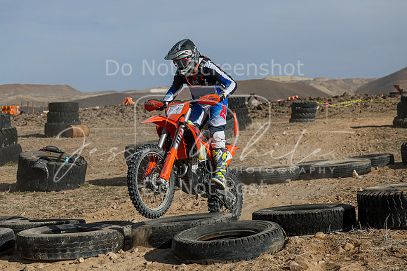IMG_1041-579p