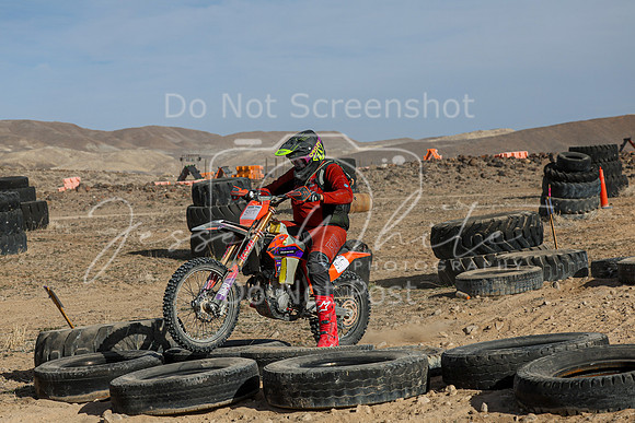 IMG_1133-511t