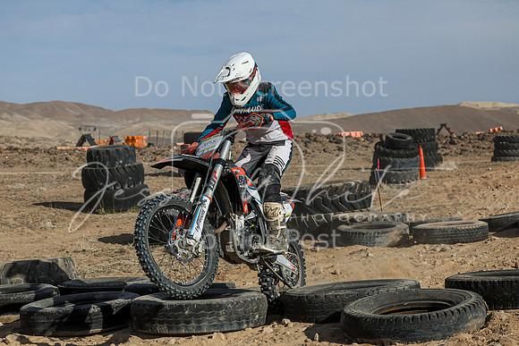 IMG_1201-310x