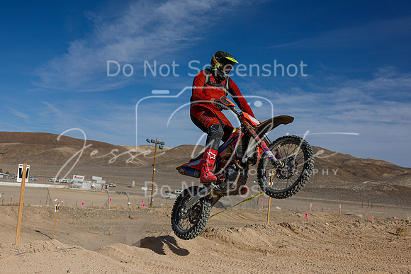IMG_1437-511t