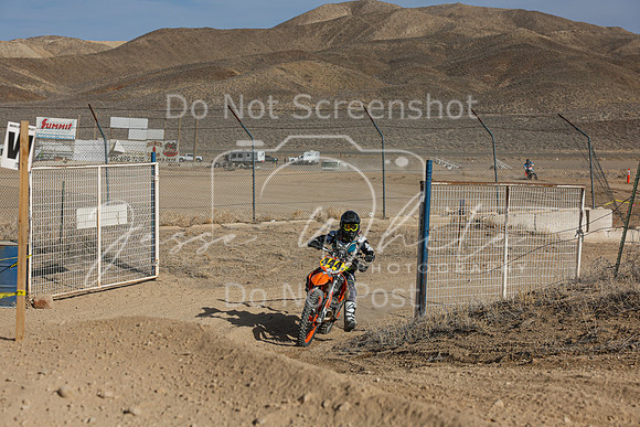 IMG_1461-444w