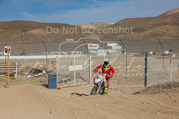 IMG_1661-313t