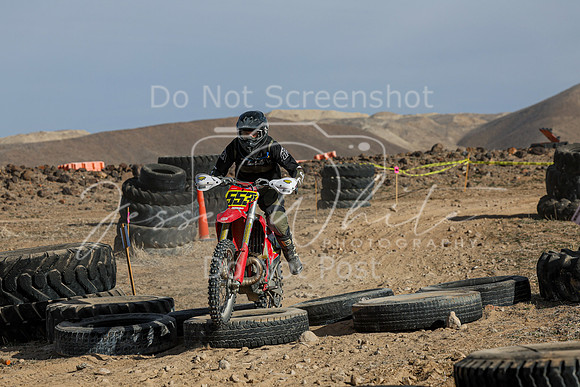 IMG_1274-553x