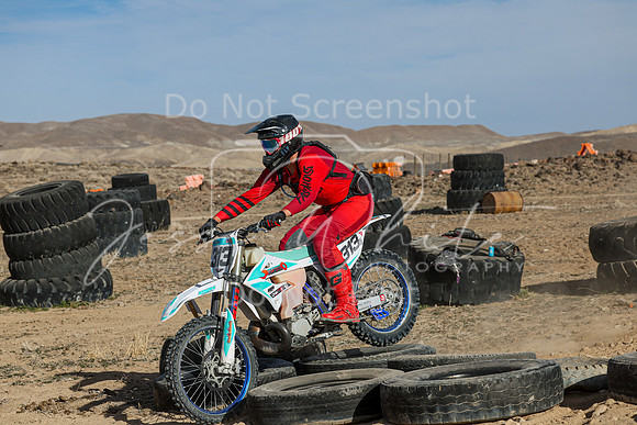 IMG_1348-313n