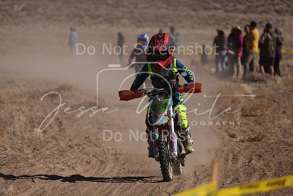 IMG_8162-224y