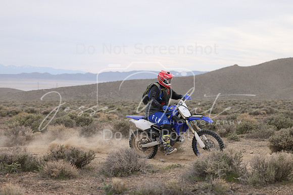 IMG_7842-11b