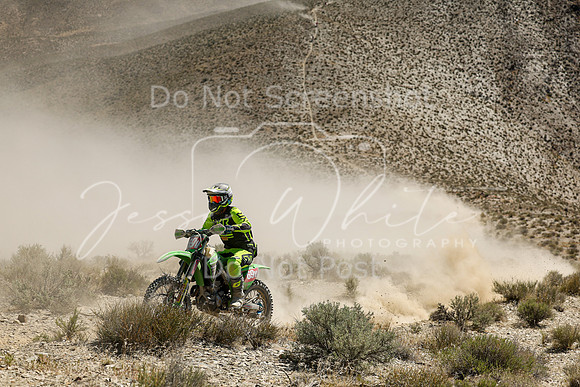 IMG_3066-69v
