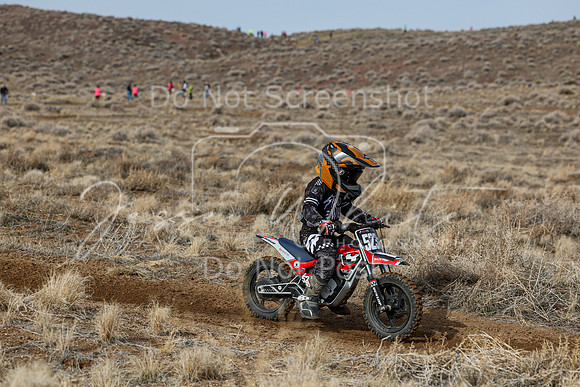 IMG_2012-523z