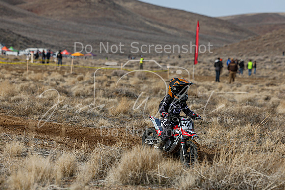 IMG_2010-523z