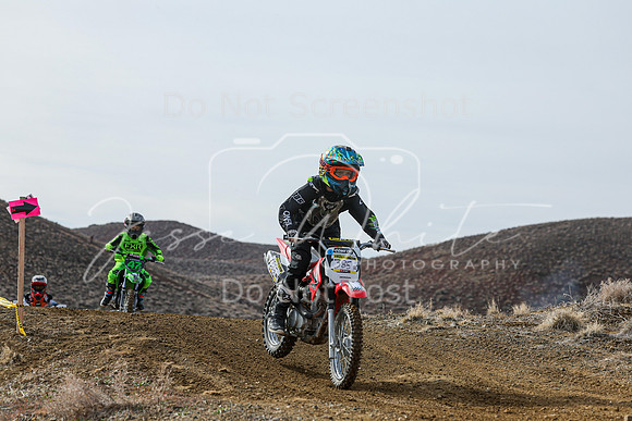 IMG_2066-385f