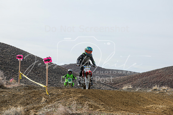 IMG_2063-385f