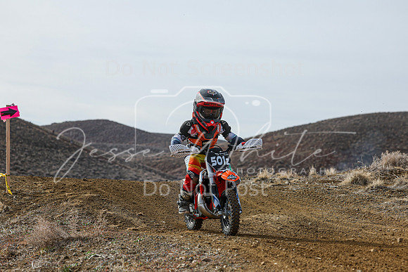IMG_2071-501z