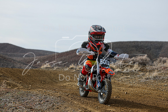IMG_2073-501z