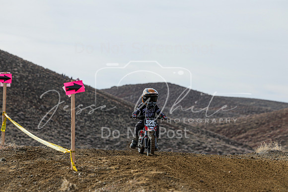 IMG_2083-523z