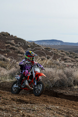 IMG_2117-262z