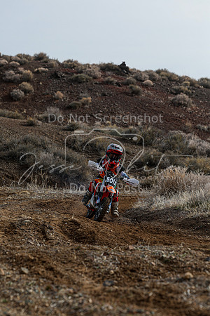 IMG_2133-501z