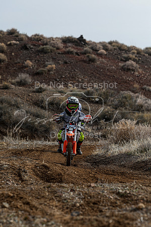 IMG_2172-525z