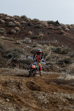 IMG_2207-501z