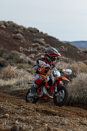 IMG_2210-501z